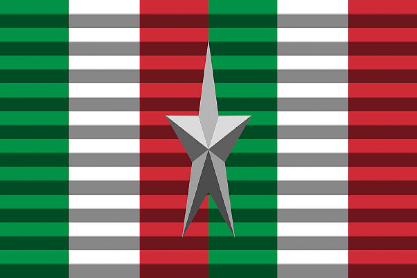 Medaglia D'Argento