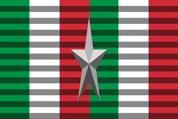 Medaglia D'Argento
