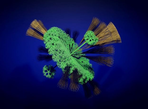 Antonio Barbieri, Digital Soul, 2022, frame da video con forme animate generate da daset, courtesy Var Digital Art (1)