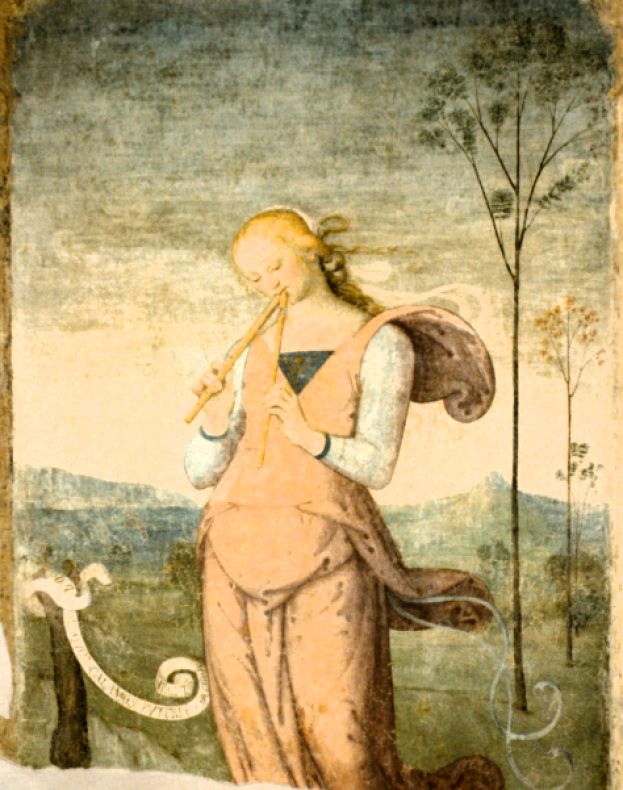 Sala delle Muse