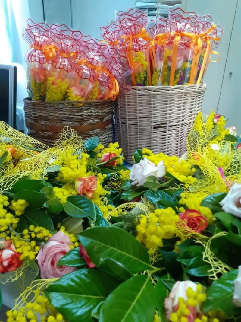 mimose sala consiliare a Luco dei Marsi