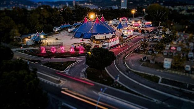 Circo