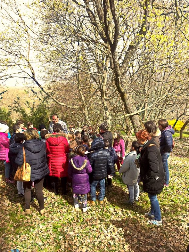 FESTA DEGLI ALBERI A ROCCA DI BOTTE(FOTO)