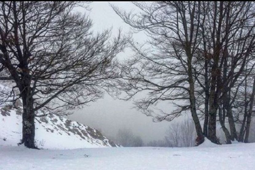 Neve