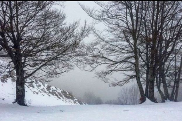Neve