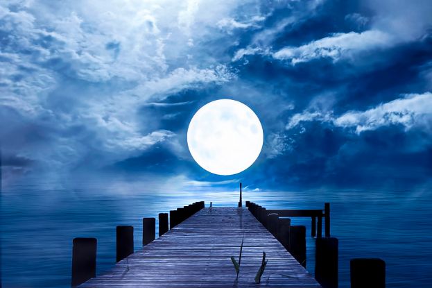 Pontile