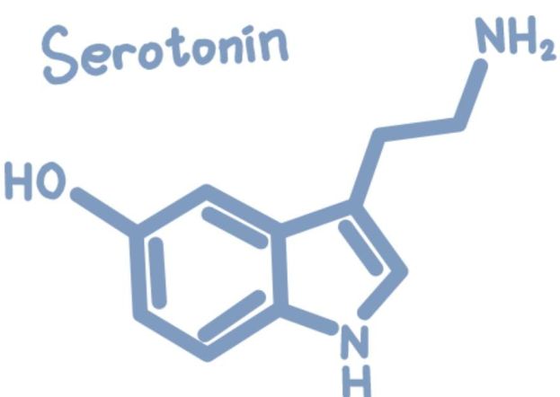 SEROTONINA