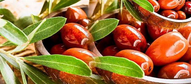 Olive greche