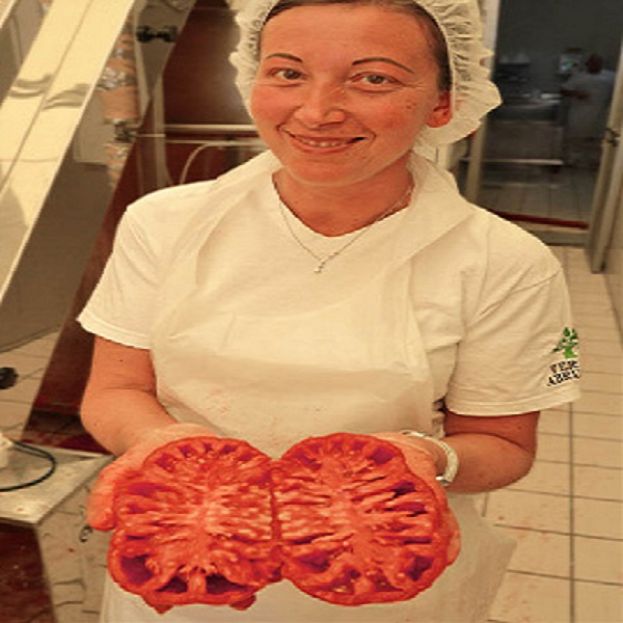 Antico Pomodoro
