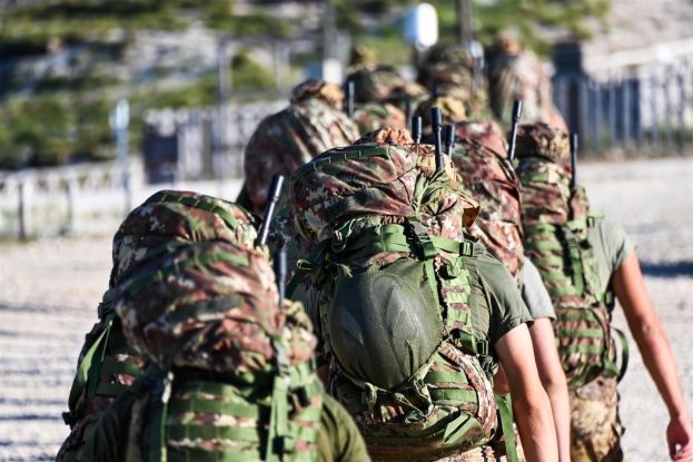 Alpini