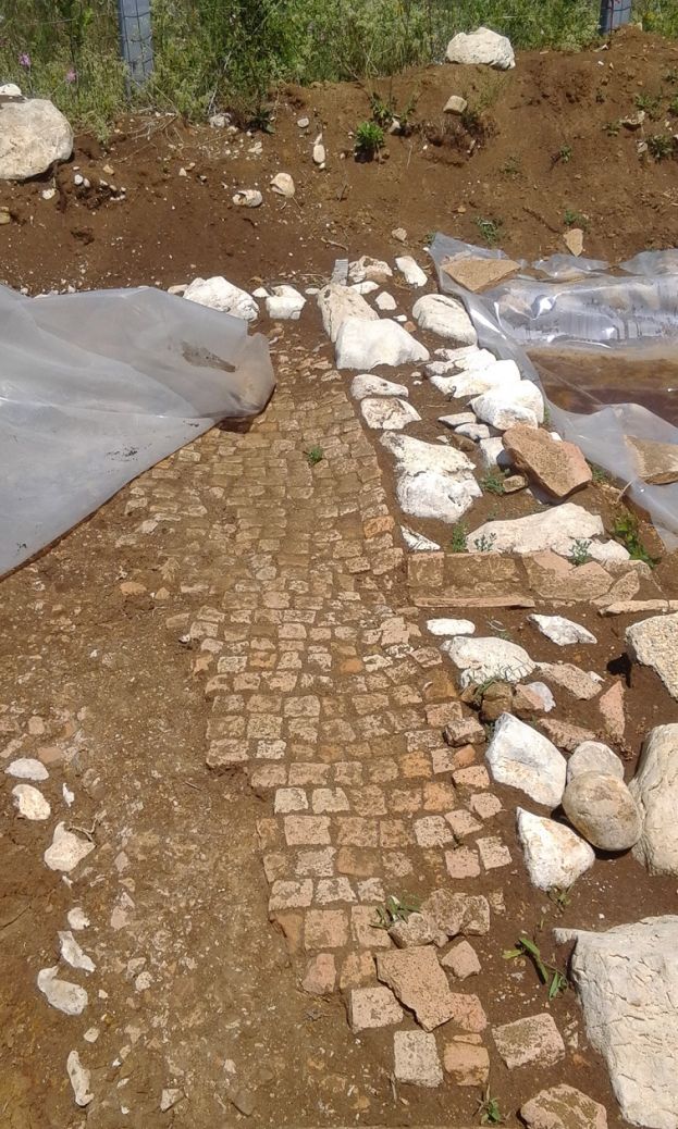 ECCEZIONALE RITROVAMENTO ARCHEOLOGICO TRA LE CAMPAGNE DELLA PIANA DEL CAVALIERE