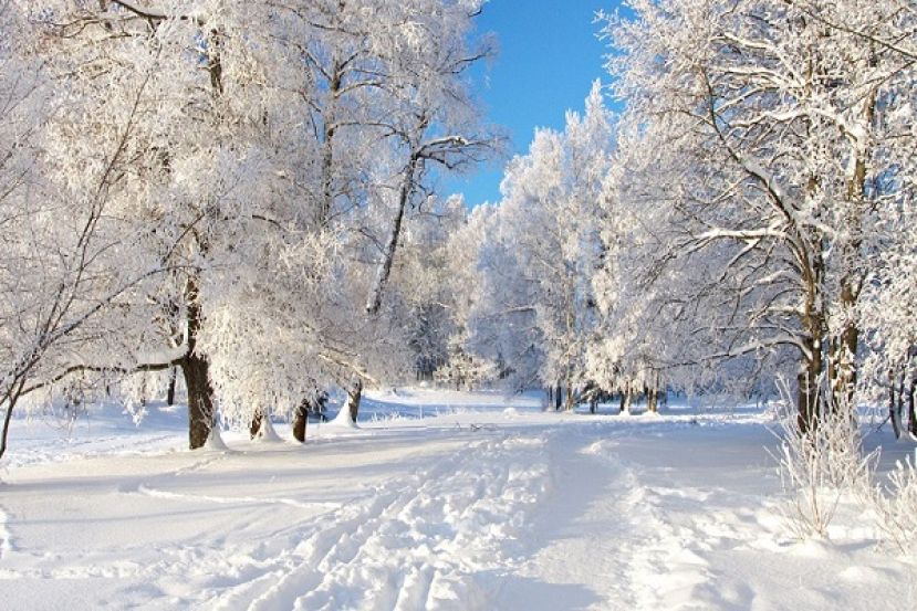Neve