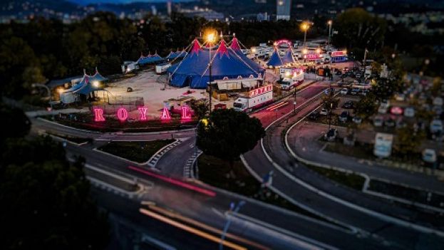 Circo