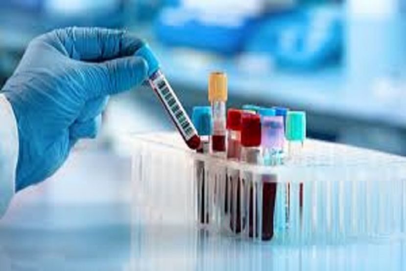 Laboratorio