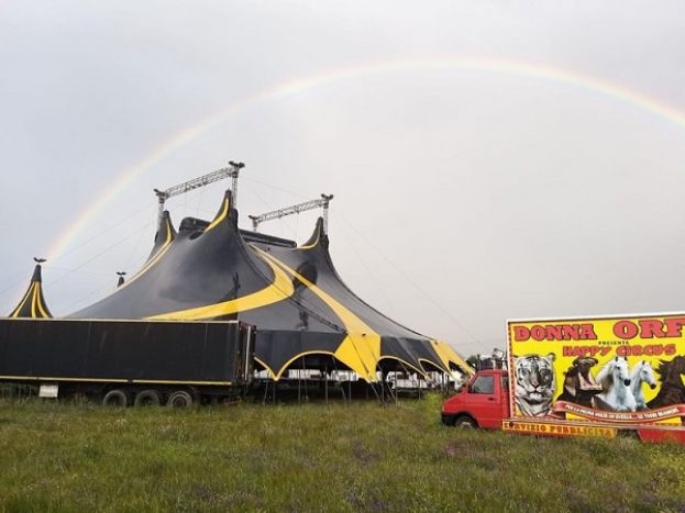 Happy Circus