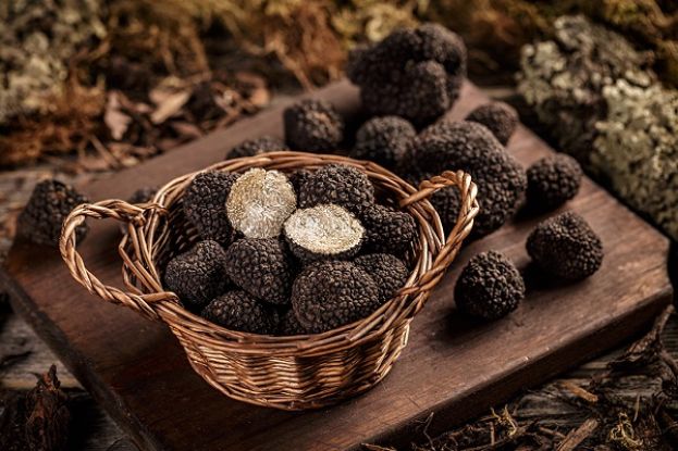 Tartufo