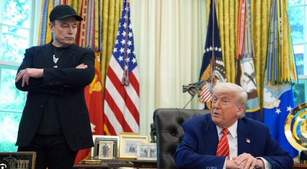 Musk, Trump