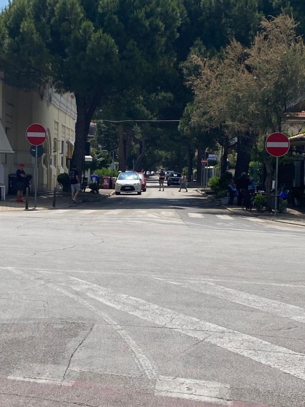 VIALE DE CECCO