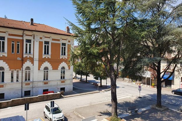Scuole Elementari