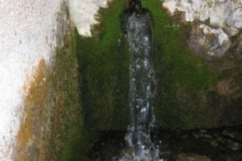 Acqua di San Franco