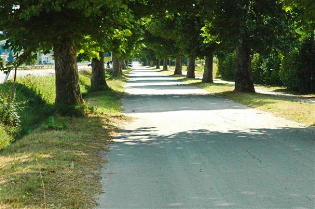 ORICOLA, RIPULITA LA VECCHIA TRATTA DISMESSA DELLA TIBURTINA VALERIA IN VISTA DELLA 117° EDIZIONE DELLA “FIERA DEL CAVALIERE”(FOTO)