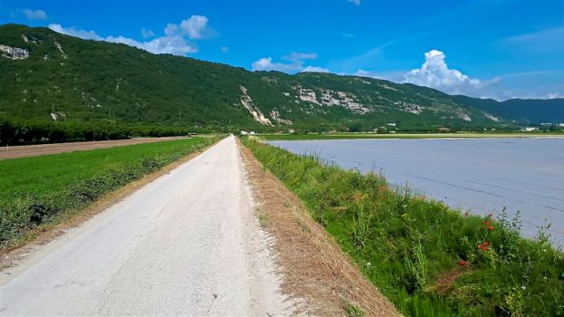 Strade Numerali