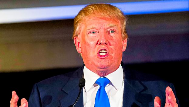 Il Presidente degli Stati Uniti Donald Trump