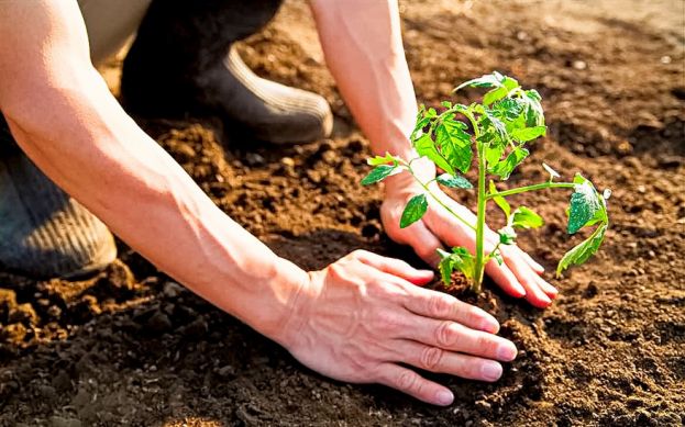 Ambiente e Agricoltura
